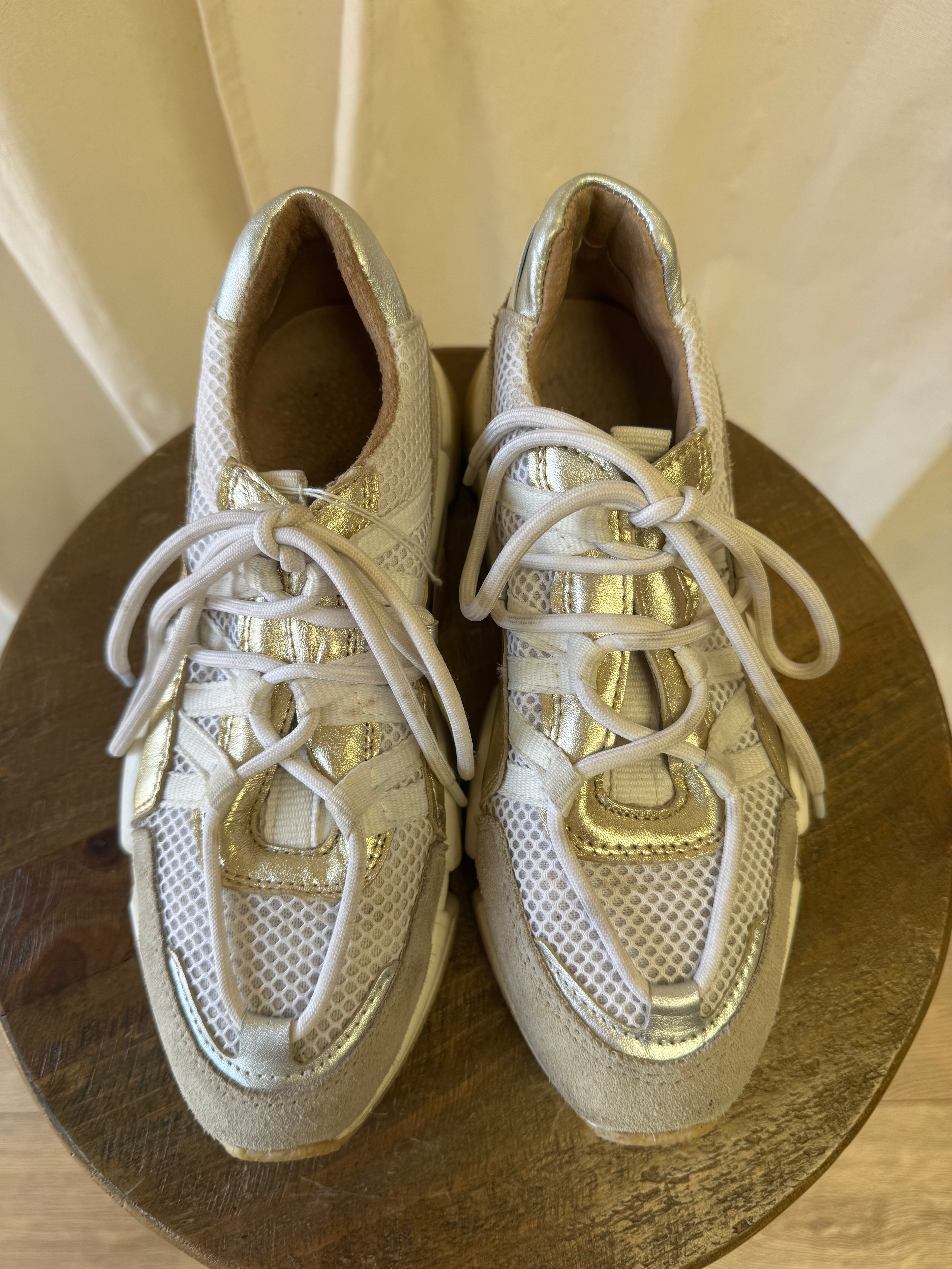 DWRS Label Los Angeles Metallic Trainers