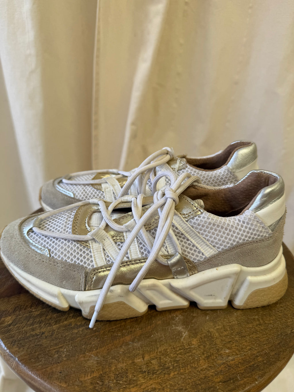 DWRS Label Los Angeles Metallic Trainers