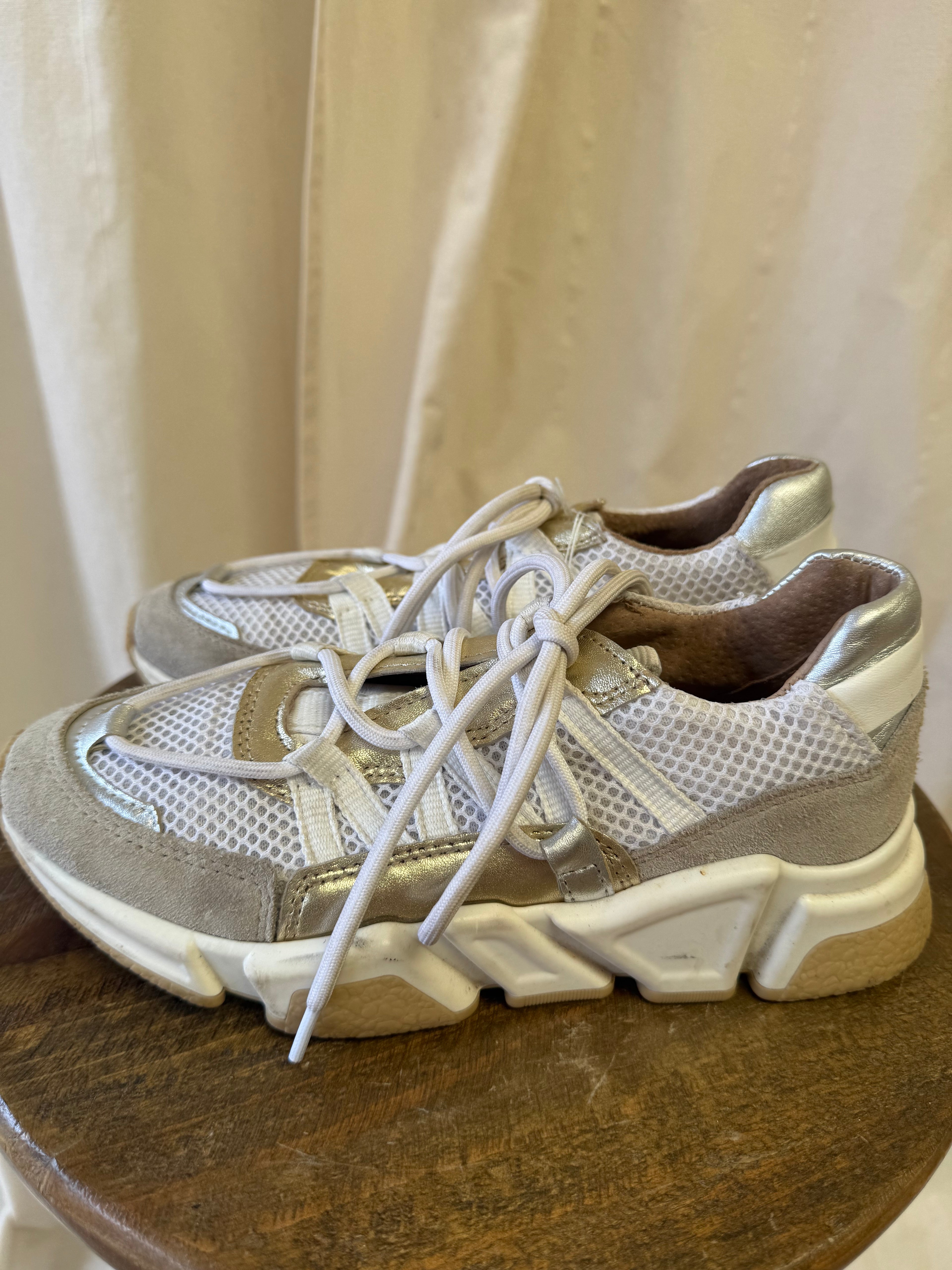 DWRS Label Los Angeles Metallic Trainers