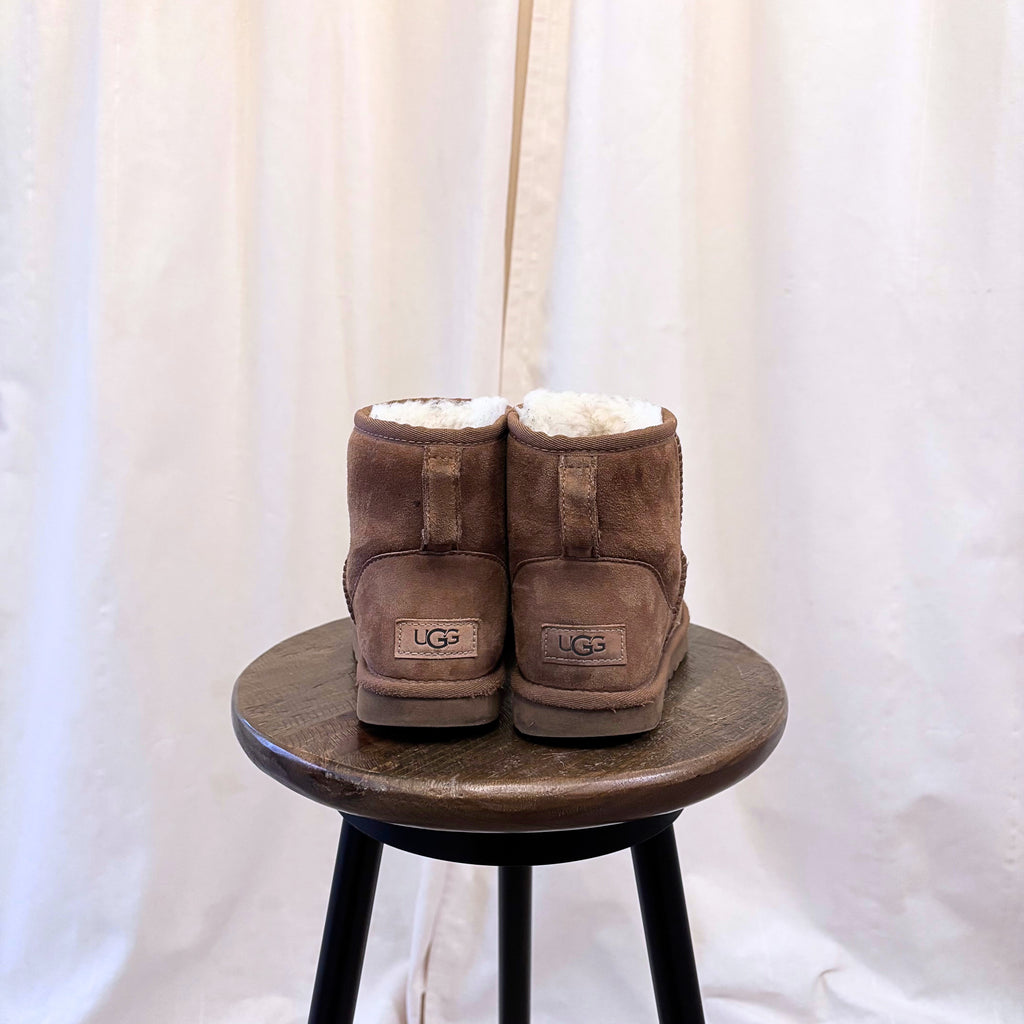 Ugg Classic Mini II Boot in chestnut