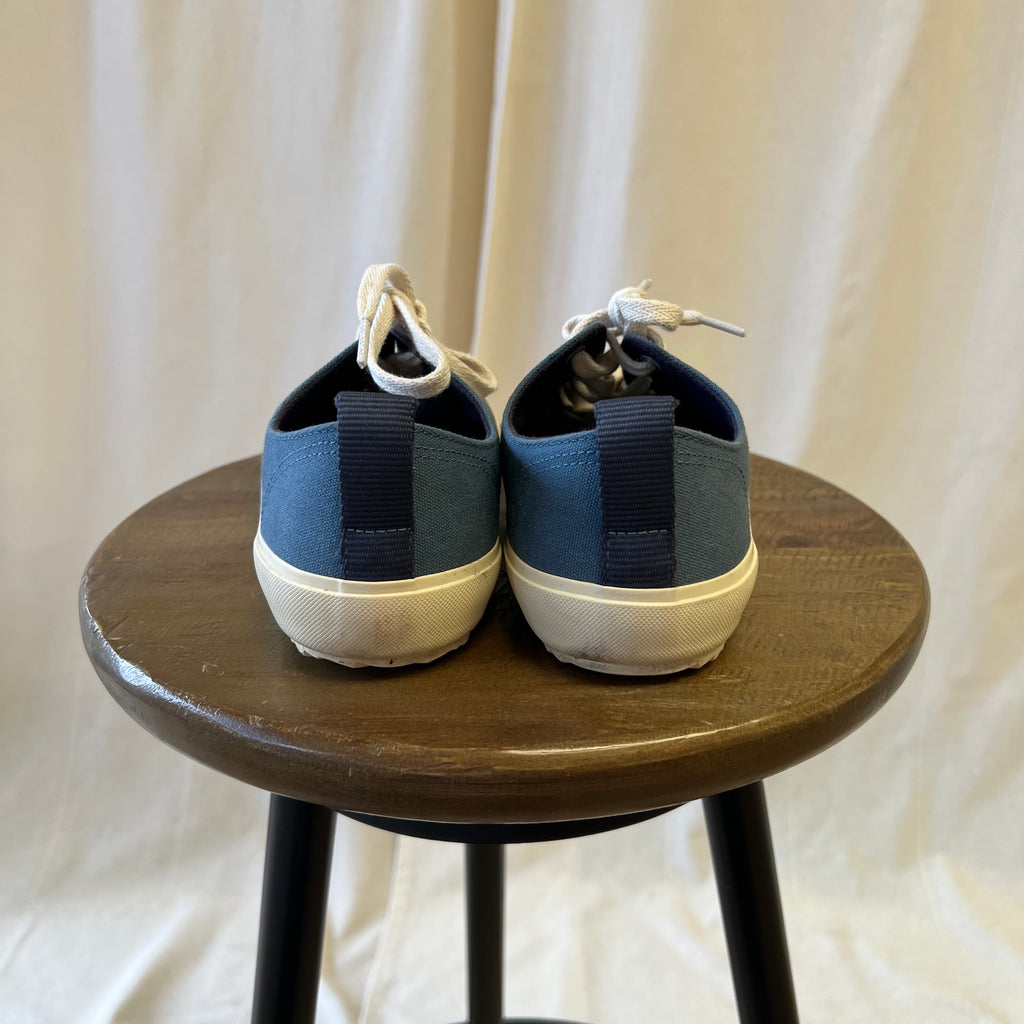 Veja trainers in blue